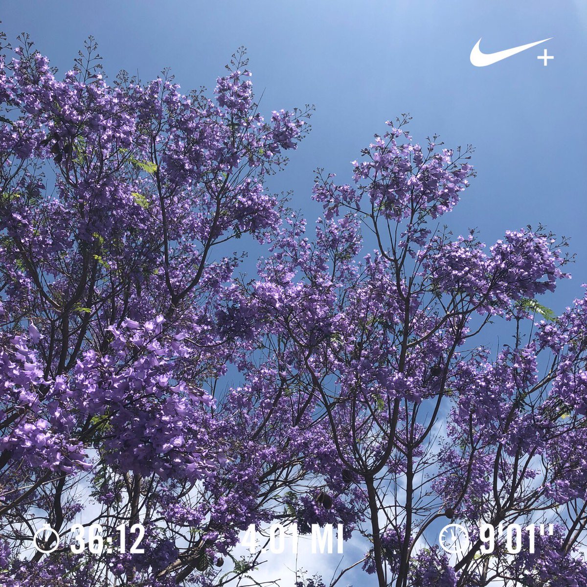 jcouvy's tweet photo. Good routine this week...early to work and then midday run and lunch before getting back after it. 4 mile #Run4Purpose for .@KershsChallenge https://t.co/MZfsZFVYrR