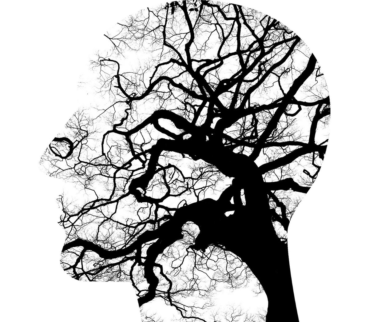journal_mind's tweet photo. #anxietyfeelslike being followed by a voice that may be the loudest in the room but it's a voice only you can hear.
You may have anxiety but let's not let anxiety have you.💜
#anxietyrelief #Mentalhealth  #MentalHealthMatters #summerinternship #BreakTheStigma @dr_samirparikh https://t.co/kPxdDqtvN7