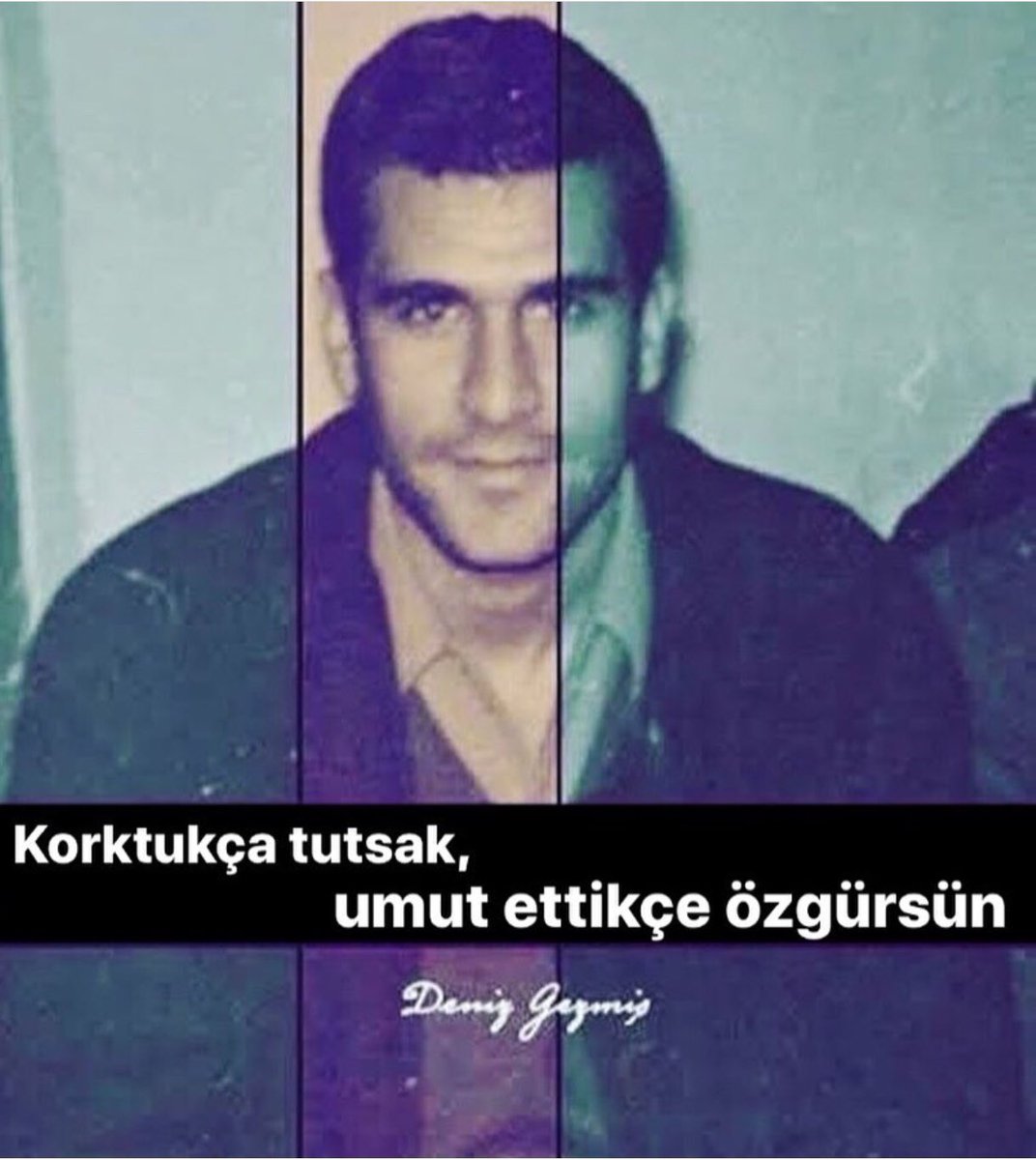 #BirHayaletDolaşıyor