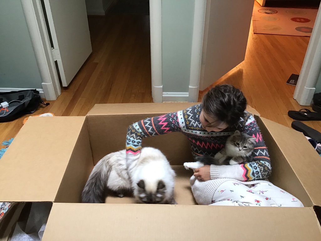 WilliamsburgCSD's tweet photo. Lucy C. is celebrating Stress Less, Laugh More with her two sweet 🐈. Thanks for sharing, Lucy! #WMSSLLM @BoykinBryan @WMS_Wolf_DOC @wmspta2019 @WMS_WolfPack https://t.co/nrWmCRlvaK