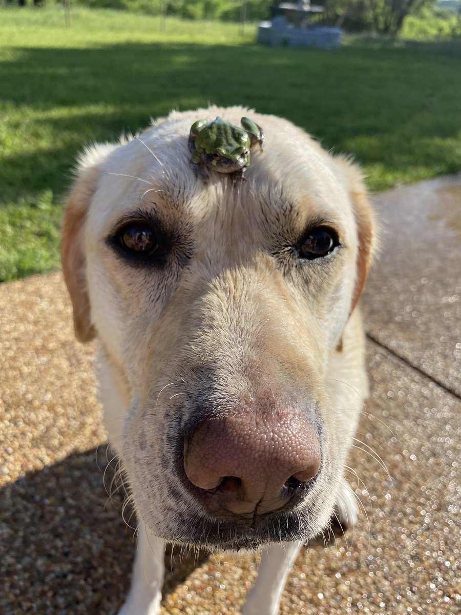 This is Ellie. She made a friend at the pool today. Was wondering if they could have a sleepover. The little one’s parents already said it’d be fine. Both 13/10