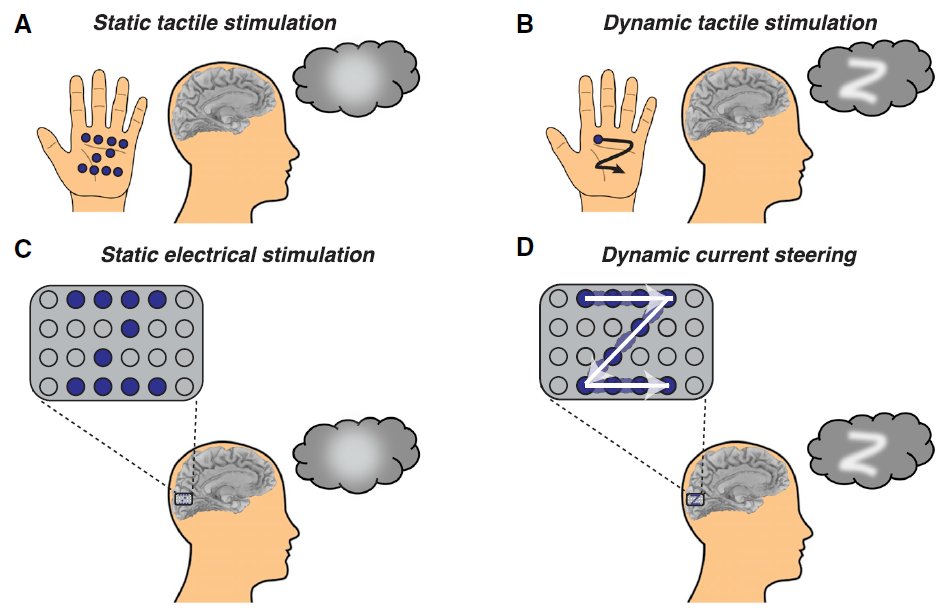 (image) Analogy with static and dynamic tactile stimulation with multiple probes.