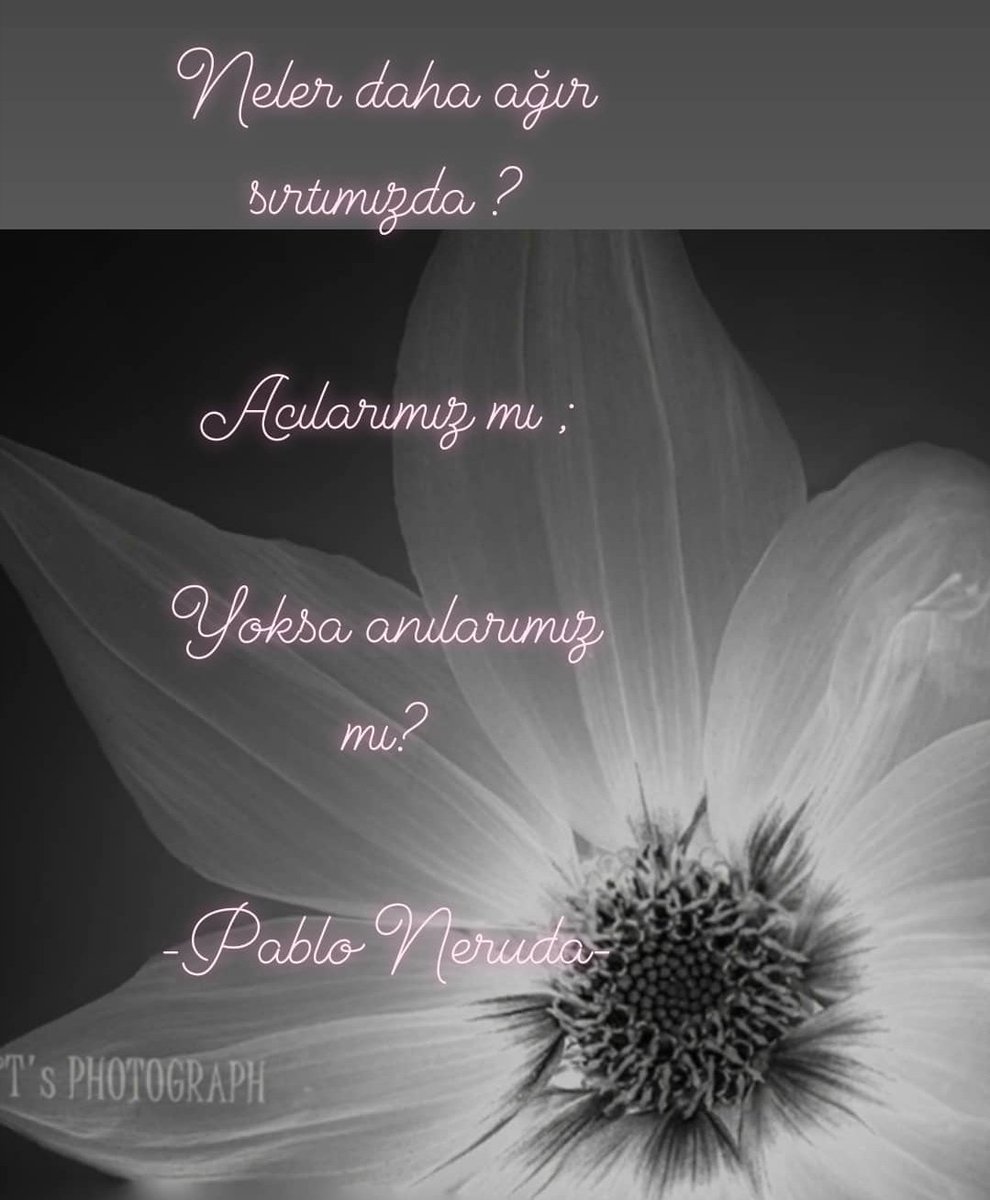 sevginur_simsek's tweet photo. https://t.co/SkBfYZLCb1