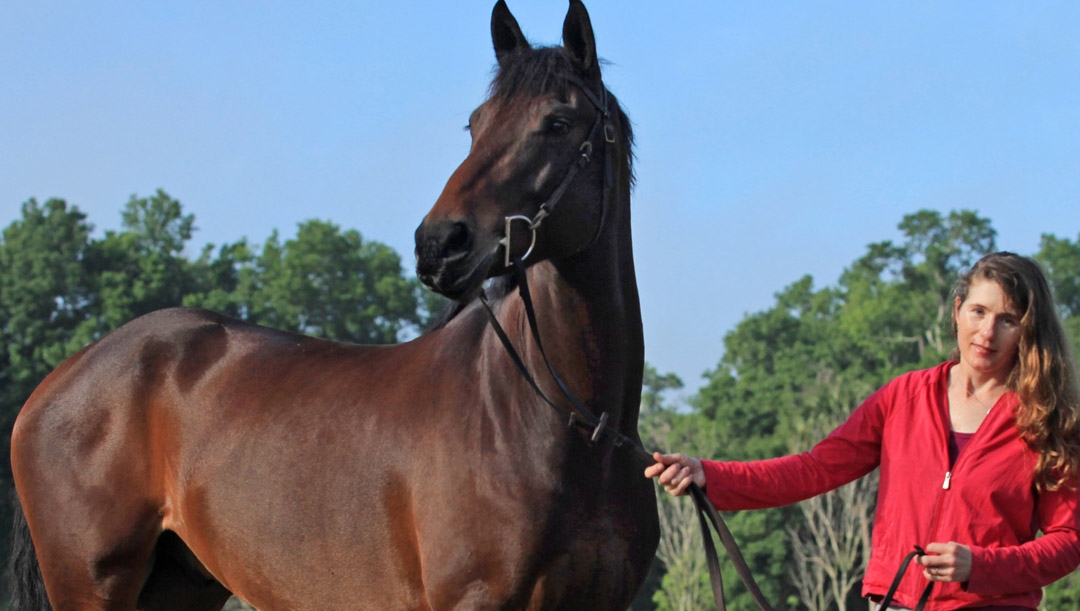 ocalastyle's tweet photo. Meet the woman who brought Horse Farms Forever and the Horse Country Protection Program together to protect the best of Marion County’s farmland for future generations: https://t.co/ic15ONmAJ8

#hff #equine #farm #farmlife #horses #protection #realocala #hcotw #ocalamarion https://t.co/C5F3i0T38B
