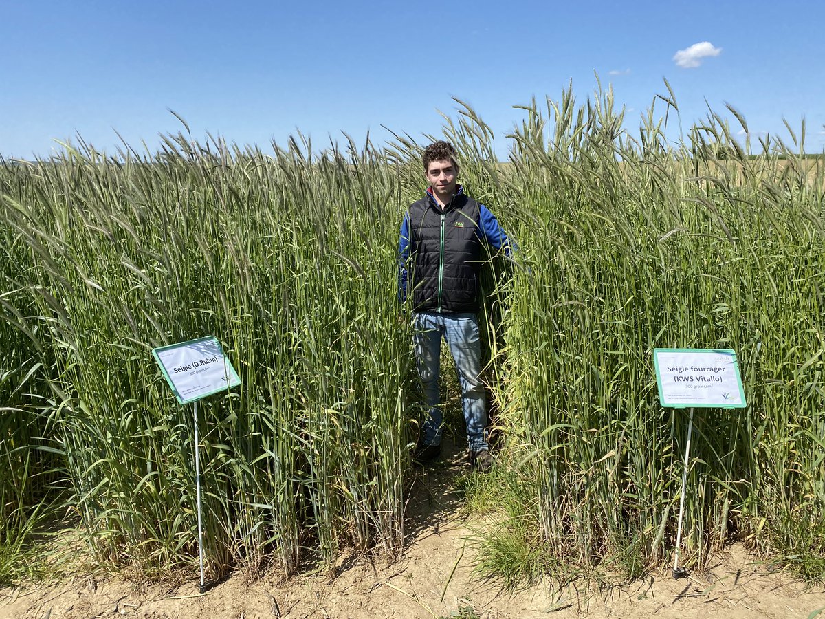 Val’epi, service agronomie tweet media