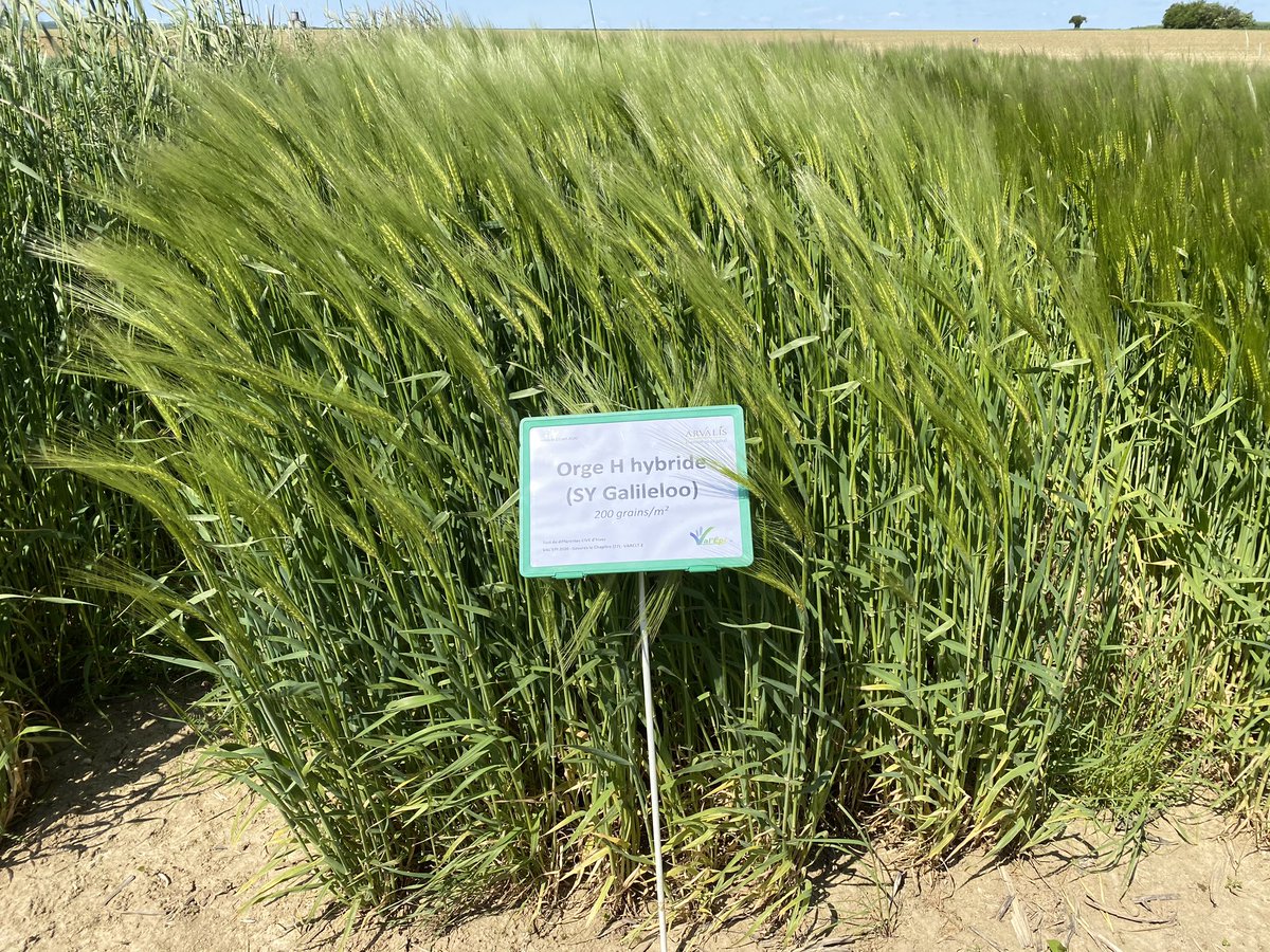 Val’epi, service agronomie tweet media