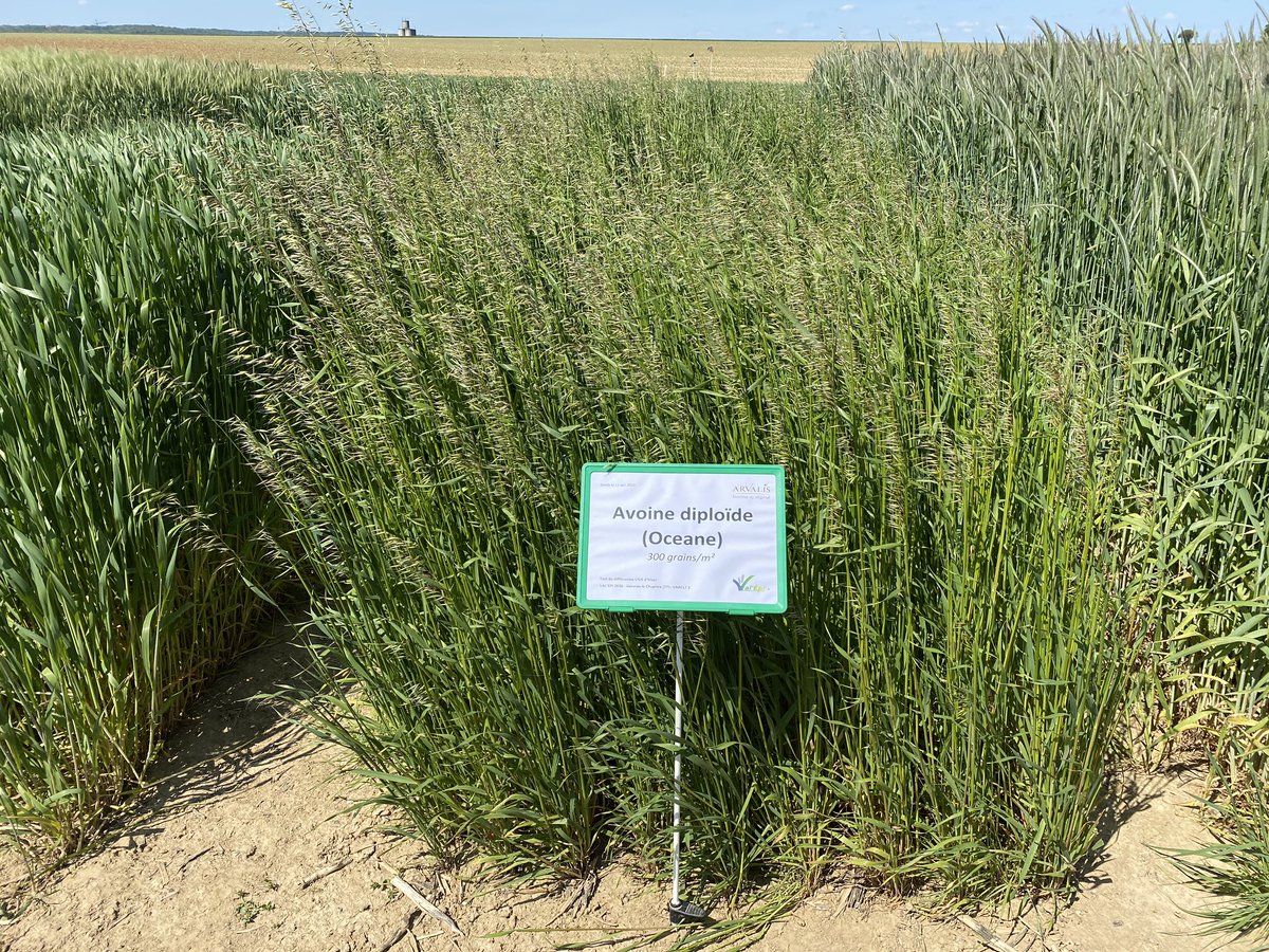Val’epi, service agronomie tweet media