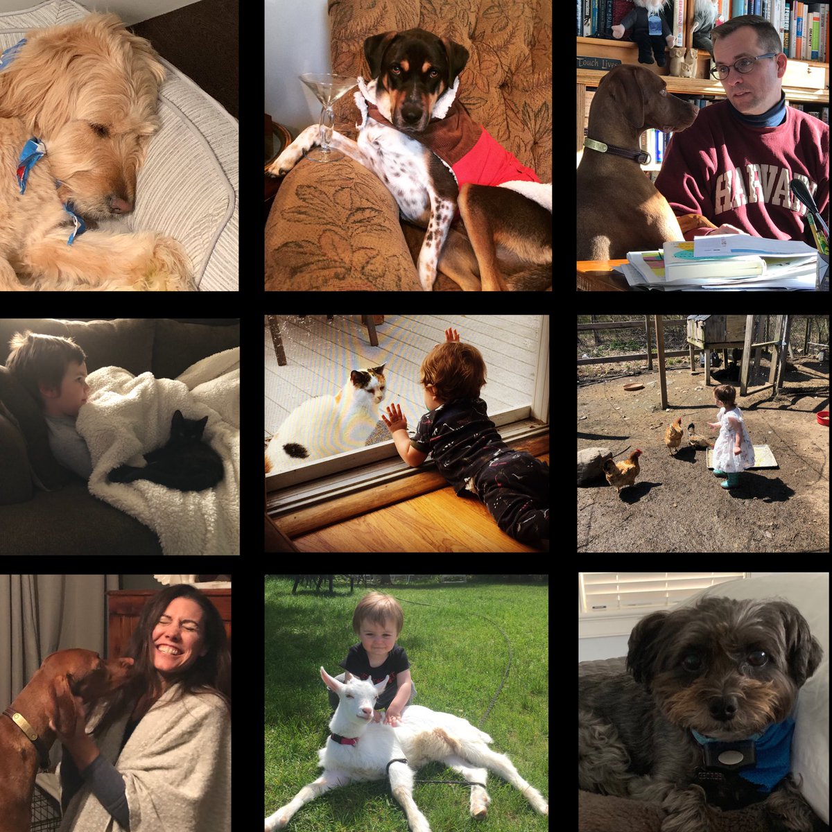 CompAchieverPod's tweet photo. Com-paw-ssionate Achievers https://t.co/ihxMZGLeYY