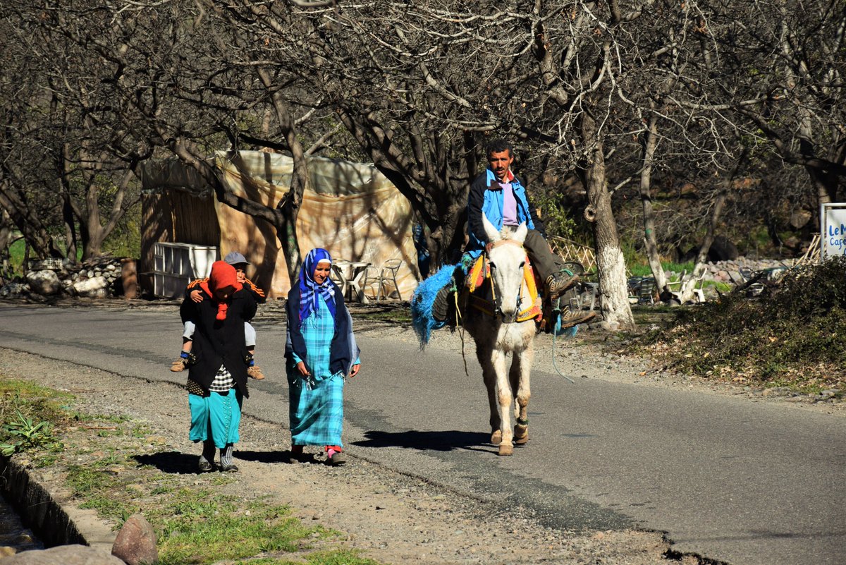 RahhalahExplore's tweet photo. #Rahhalah's latest #newsletter is out! 📣This week, we recall an evening in a #Berber village in #Morocco, connecting with the #local women and enjoying their warm #hospitality. Read more at:

https://t.co/QzHMo6hDMZ

#travel #traveler #memories https://t.co/iRyWRnULyl