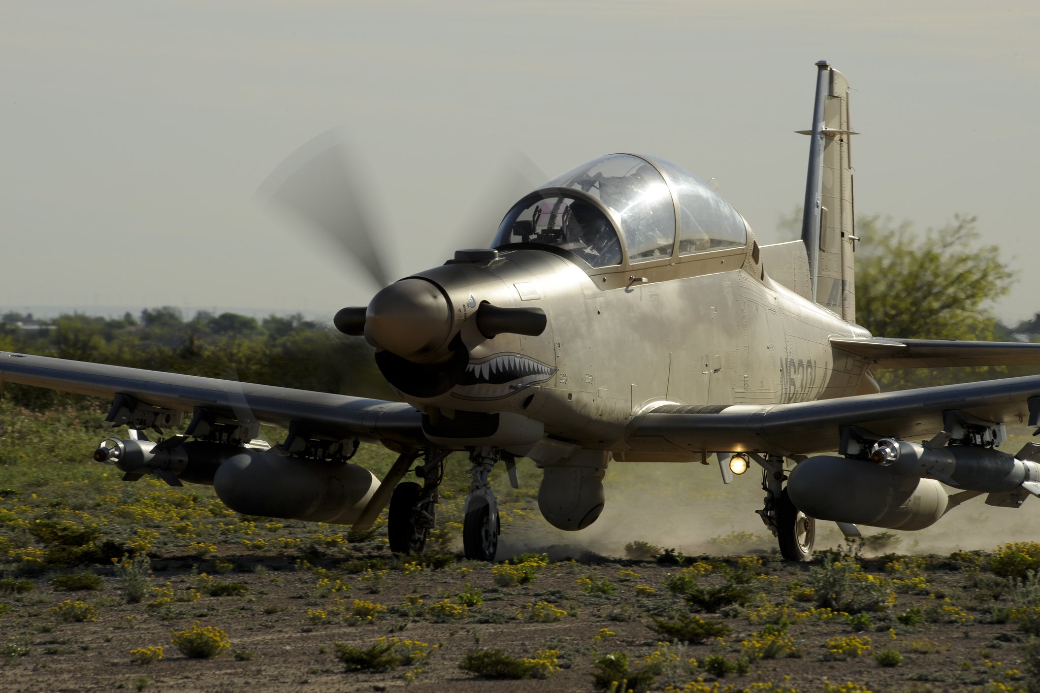 EX_f8T9XgAwBeva.jpg:large