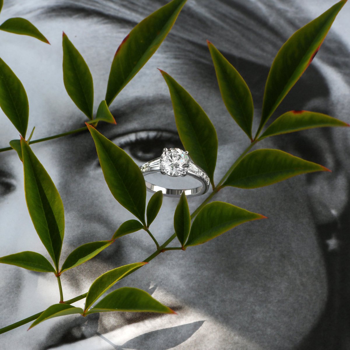 Albritons's tweet photo. Contemporary in its design, this white gold engagement ring by @SimonGJewelry features .17 ctw of round cut white diamonds highlighted by .50 ctw of tapered baguette cut side diamonds. See more of this amazing collection at Albriton’s today!
#committedwithsimong #albritonsjewelry https://t.co/dmNjUsvCbg