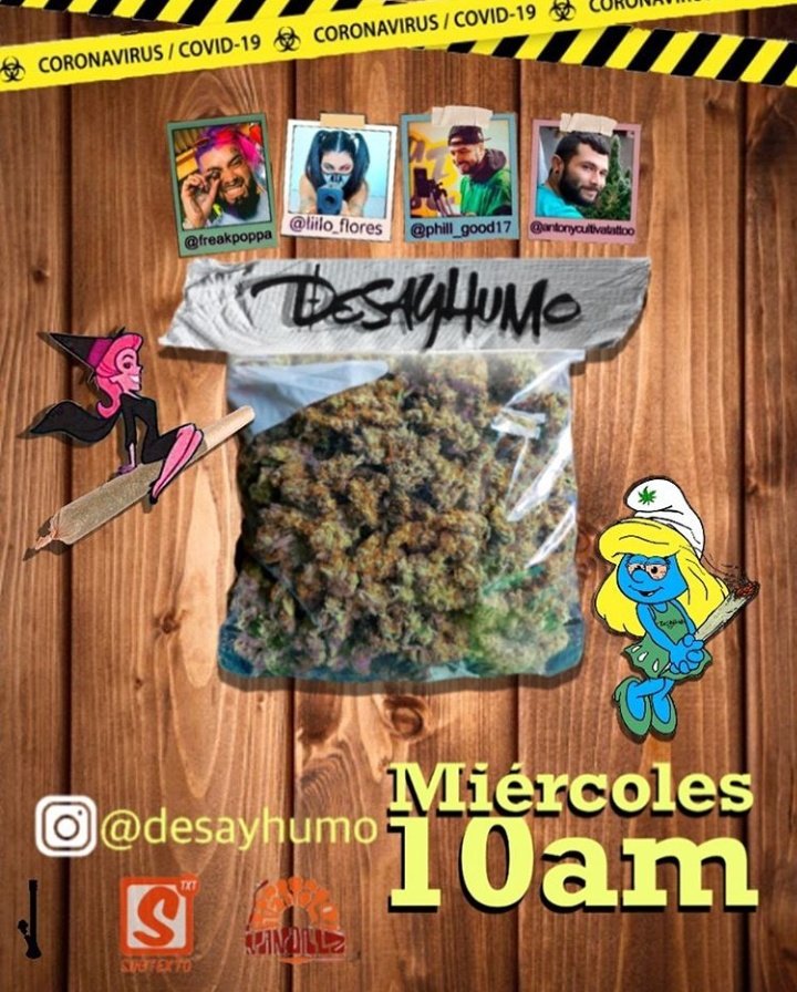 edaexx's tweet photo. Todos los miércoles desde las 10am estamos en el IG @desayhumo en vivo para compartir la mañana, conversamos de la vida en torno al cannabis y muchísimo más ,no te lo pierdas ,es el matinal cannabico de Chile. https://t.co/4Va8fiYNQP