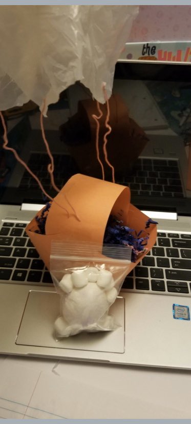 mrstgomes's tweet image. Loved getting these submissions from my students for their Egg Drop creations! @collierschools @SLESeahawks @CollierScience #eggdropchallenge #scientists #distancelearning