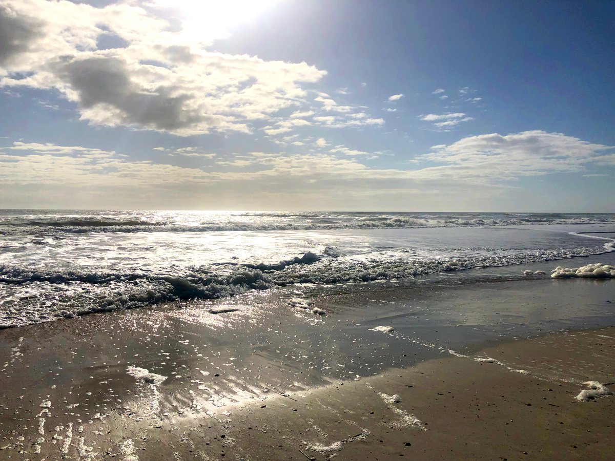 SawgrassCC's tweet photo. #ThursdayThoughts “Wherever you go, bring your own sunshine” – Unknown #ExperienceSawgrass #PonteVedraBeach https://t.co/QZVegUtnAl