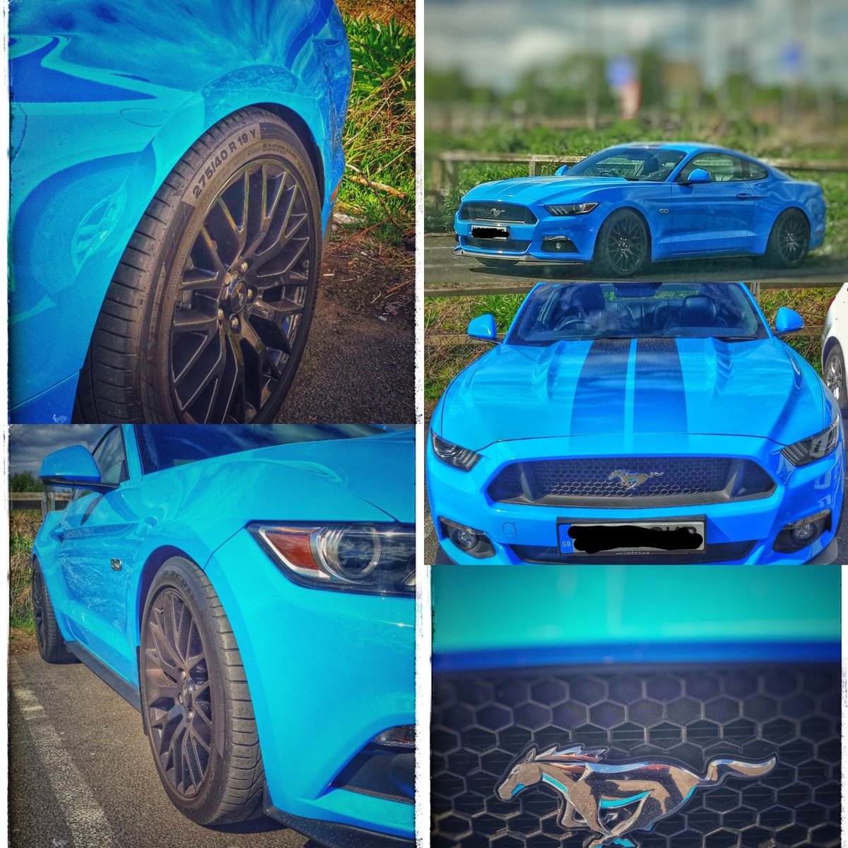 ChunAlan's tweet photo. I have always loved these, but this one in blue is just gorgeous. Sounded awesome as it left the car park too 😁 #mustang #fivelitre #musclecar #motor #car #power #pirellipzero #righthanddrive https://t.co/Mp3FXVt1WJ