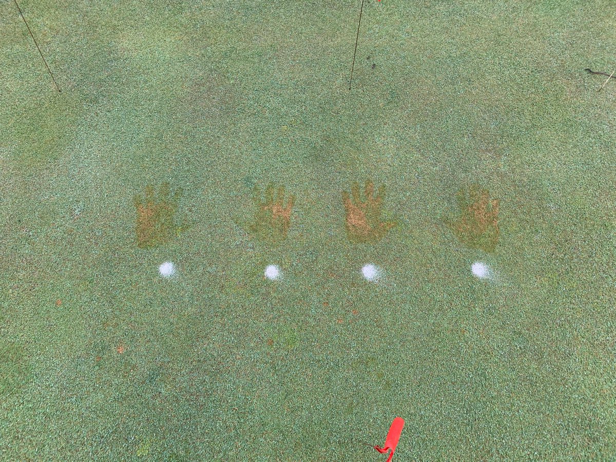New blog on hand sanitizers killing creeping bentgrass on greens.  extension.iastate.edu/turfgrass/blog…