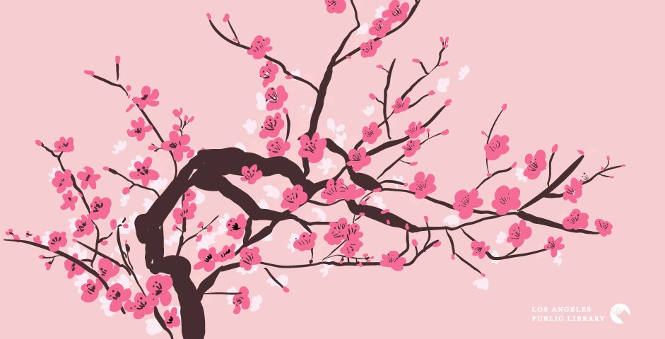 illustration of cherry blossoms