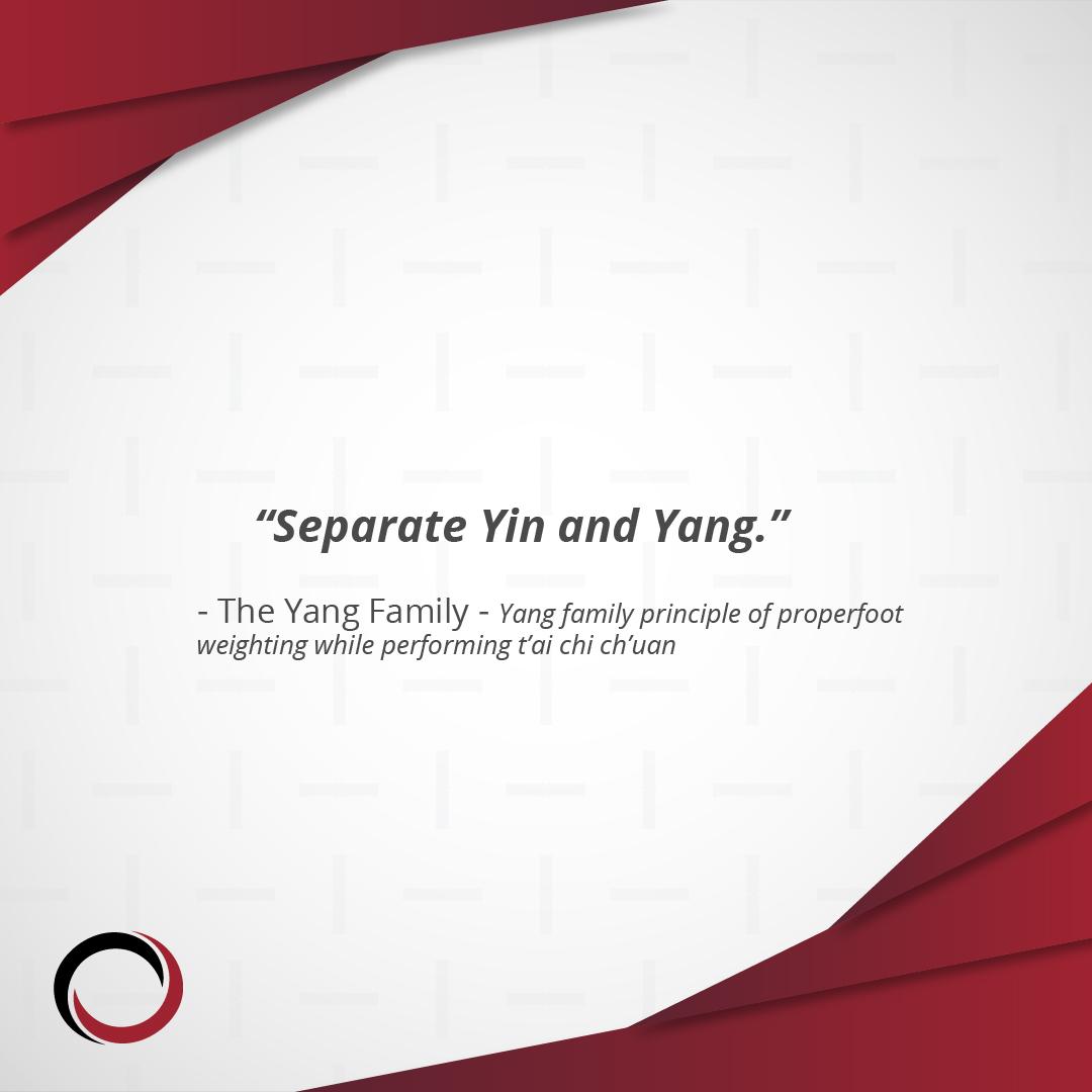 RulerBoxing's tweet image. &quot;Separate Yin and Yang.&quot; — The Yang Family principle of proper foot weighting while performing t’ai chi ch’uan 

#taichichuan #martialarts #qigong #taichi #balance #movement #healingarts #qi #chinesemedicine #acupuncture #yoga #mindbodysoul #meditate #rulerboxing