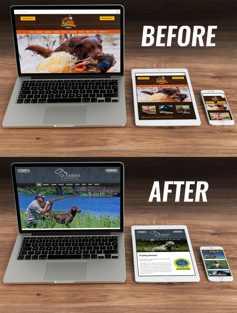 Did you know that 3plains also specializes in building state of the art custom websites for dog trainers, breeders, and kennels? Take a look at this recent website and branding overhaul project that we completed for our long time client, Y-Farms Kennels. y-farms.com