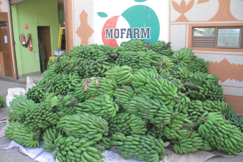 mofarmfresh's tweet photo. Earlier today our staff, led by our executive, distributed assorted items to our brothers and sisters who have been affected by the current economic situation. #kenya #mofarm #nairobi #covid19 #coronaviruskenya https://t.co/YWRMmB4QeB