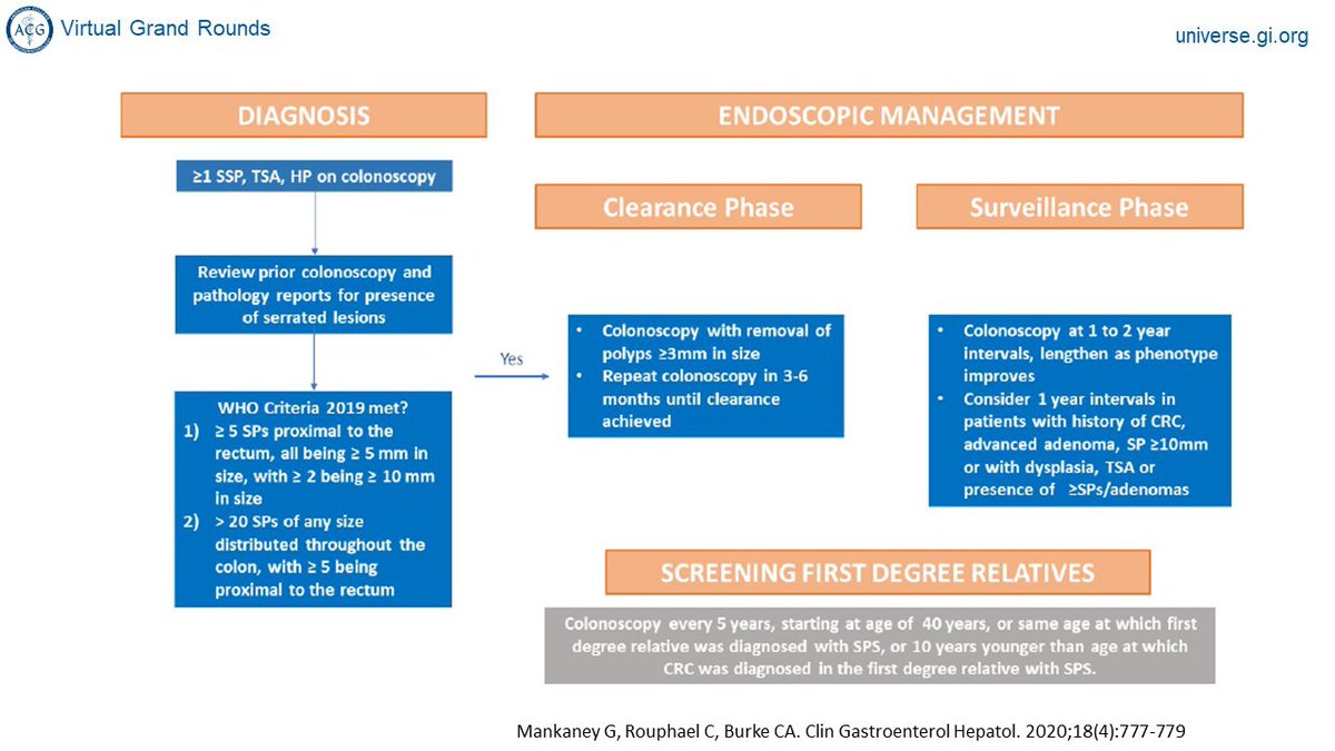 AmCollegeGastro's tweet photo. Diagnosis & Endoscopic Management of Serrated Polyposis Syndrome per Dr Burke: ensure you make the Dx, repeat #colonoscopy until achieve clearance, follow pts at intervals, screen 1st degree relatives
#VirtualGrandRounds #Gastroenterology #GIhomeschooling #Endosocpy https://t.co/X2PS3D4j0g