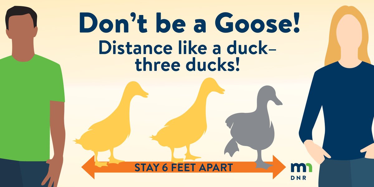 Don't be a goose. Social distancing with ducks.