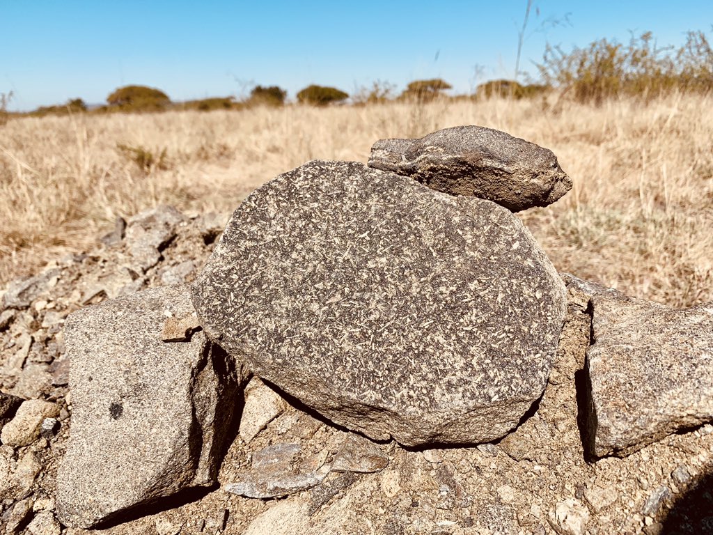 LG6 has a high Cr:Fe ratio and can be mined very profitably, delivering up to +40% Cr2O3 product directly to market without the need for concentration. This pic shows a chromitite boulder with unusual olivine textures (for the bushveld). Almost spinafex texture...