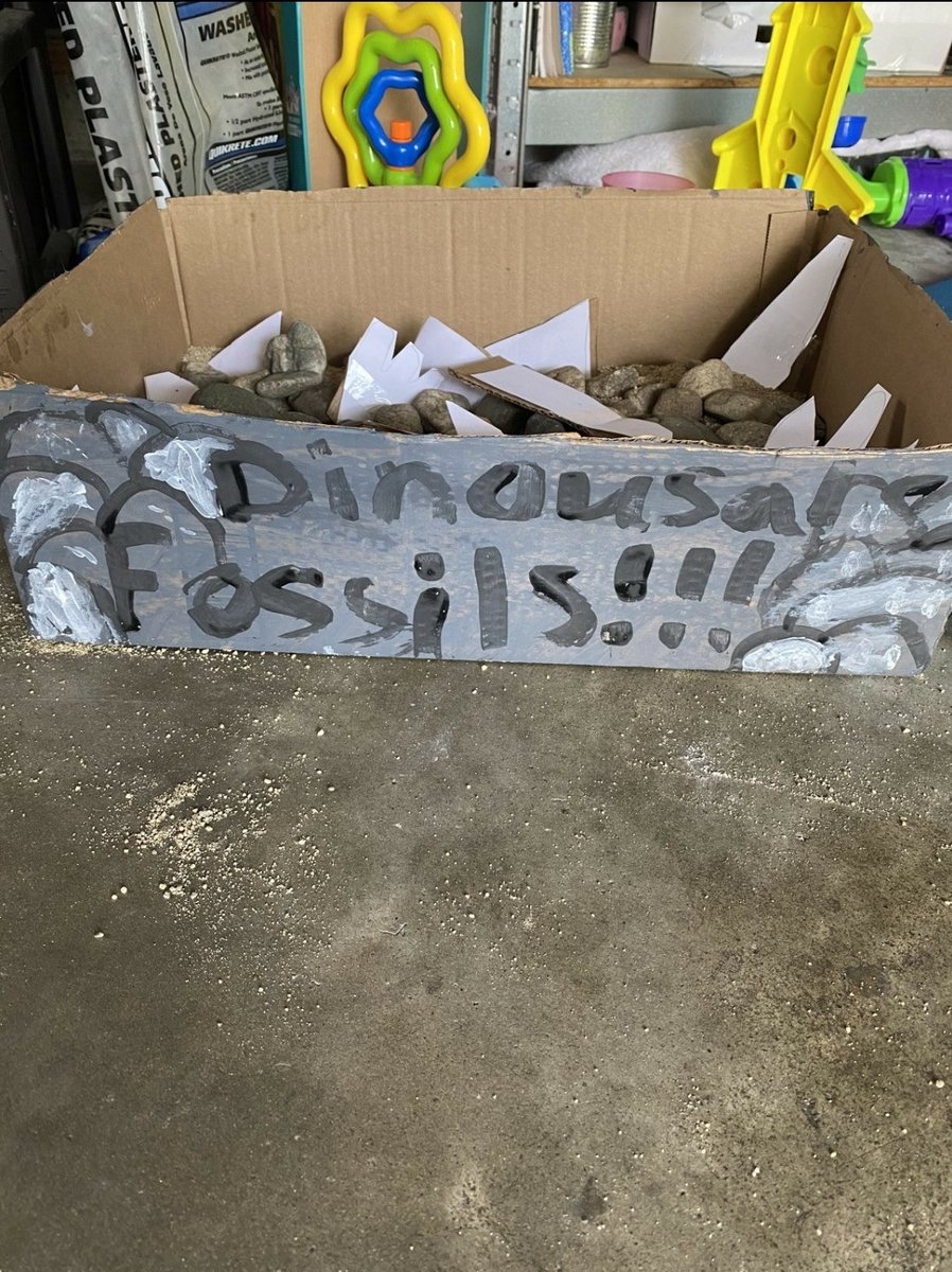 LichtIBmaxwell's tweet photo. Look at all these archaeologists! There's all kinds of fossils around Maxwell! Part 1 #fossils @Maxwell_IB @MaxIBPrincipal @duarteusd https://t.co/Tck8o8XzM3