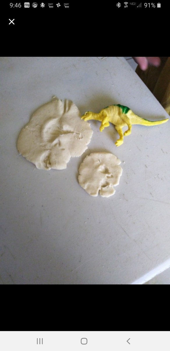 LichtIBmaxwell's tweet photo. Look at all these archaeologists! There's all kinds of fossils around Maxwell! Part 2 #fossils @Maxwell_IB @MaxIBPrincipal @duarteusd https://t.co/zYwisplEJs