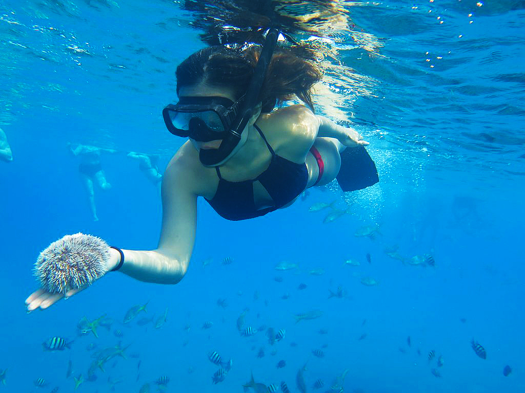 DRgotsoul's tweet photo. This is #PuertoPlata
SeaPro Divers

#SeaProDivers  #Snorkeling 🌊🐟🤿
#Scubadiving  #AquaAdventures   
#ThingsToDo  #DominicanSoul

https://t.co/hZQFDMjtlh https://t.co/vD9BZX889d
