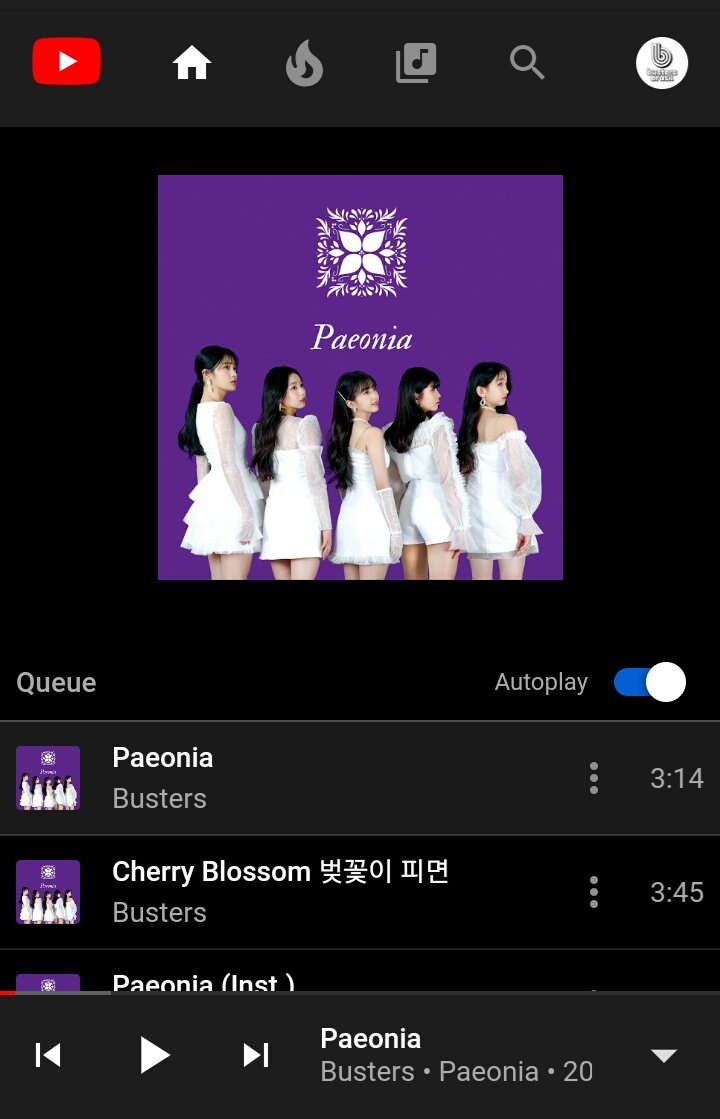 BrasilBusters's tweet photo. [💿] Paeonia já está disponível para streaming nos serviços de música do Google.

 - YouTube Music: https://t.co/T61u7oBgKs

 - Play Música: https://t.co/8dsPUKfrRh

#Busters #버스터즈 #피오니아 #Paeonia #버스터즈_컴백 #Busters_COMEBACK #StreamPaeonia https://t.co/a2Ir3JmlGN