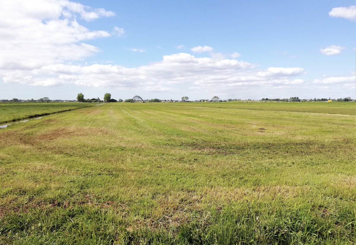 Zoek de verschillen! Links zie je het weidevogelgrasland van de Donkse Laagten half mei, rechts een gemiddeld agrarisch grasland rond half mei. Tip: het is iets met grutto's en een hele hoop verschillende soorten kruiden en insecten.