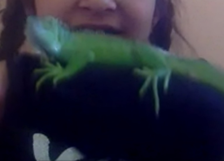 Petronila (she/her/ella) tweet media