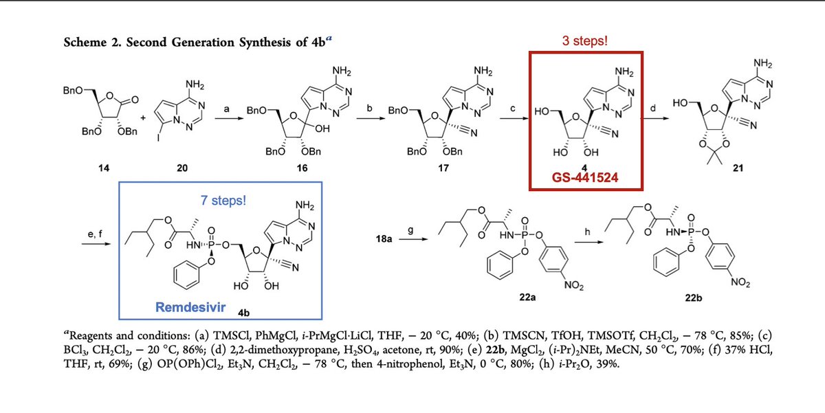 SO WHY IS THIS IMPORTANT AGAIN? Well,  #remdesivir is kinda hard to synthesize!  #GS441524 is not. What's the point of laboring to make Remdesivir when GS-441524 is the one that reaches the lungs? GS-441524 is also low MW/hydrophilic, making aerosolization for prophylaxis easier.