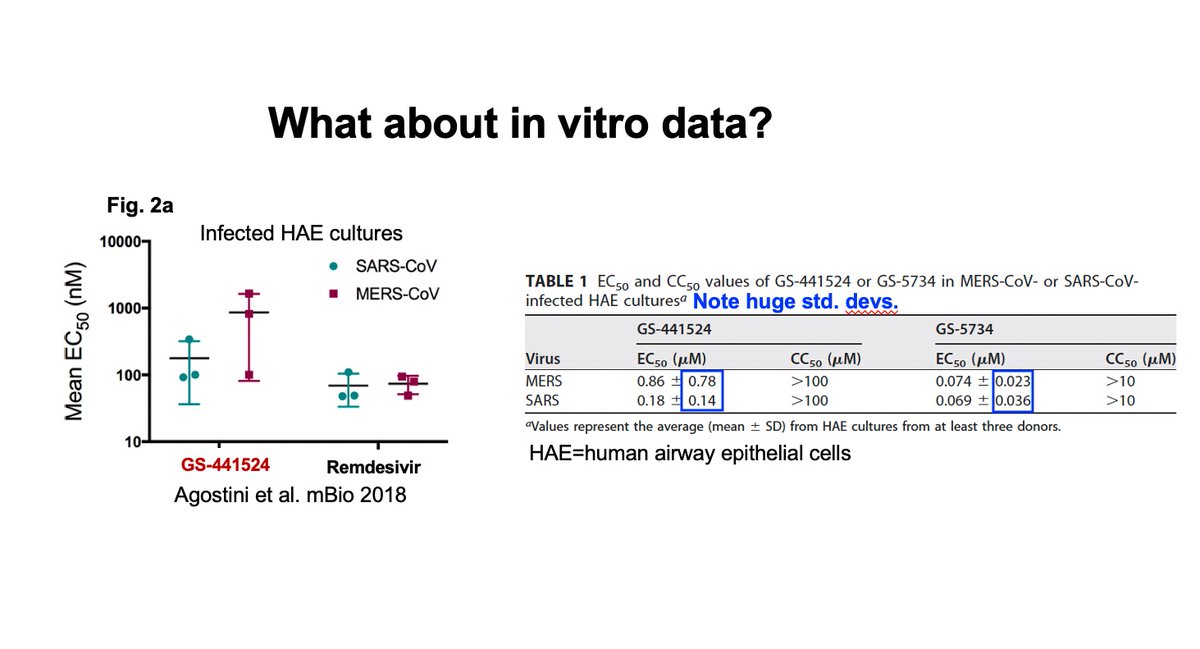 WHAT ABOUT IN VITRO DATA? Some data show  #remdesivir >  #GS441524 in potency. But the most important in vitro study in primary human airway epithelial cells show no stat. sig. difference b/w the 2. Minor differences don't matter if only GS-441524 is in the lungs in vivo. 6/x