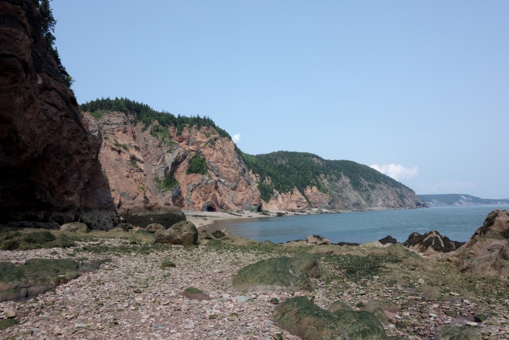 gipfelwelt's tweet photo. #archiv Dramatische Steilküste, traumhafte Buchten, Walbeobachtungsmöglichkeiten - und sehr viel Wald. Das bot sich bei meiner zweitägigen #Zelttour durch den Cape #Chignecto Provincial Park in Nova Scotia, #Kanada. #CapeChignegto #Küste #mittelschwer https://t.co/7EPJSpTInR https://t.co/IG6YNv4nFL