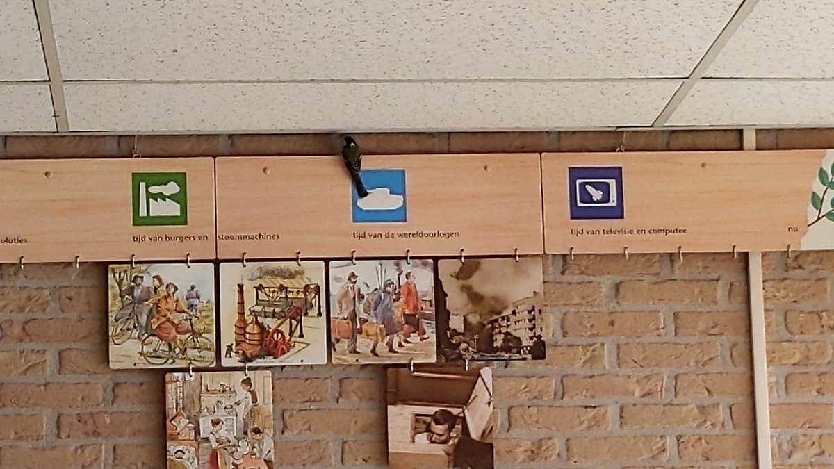 Jan Willem Hengeveld 👨‍🏫 tweet media