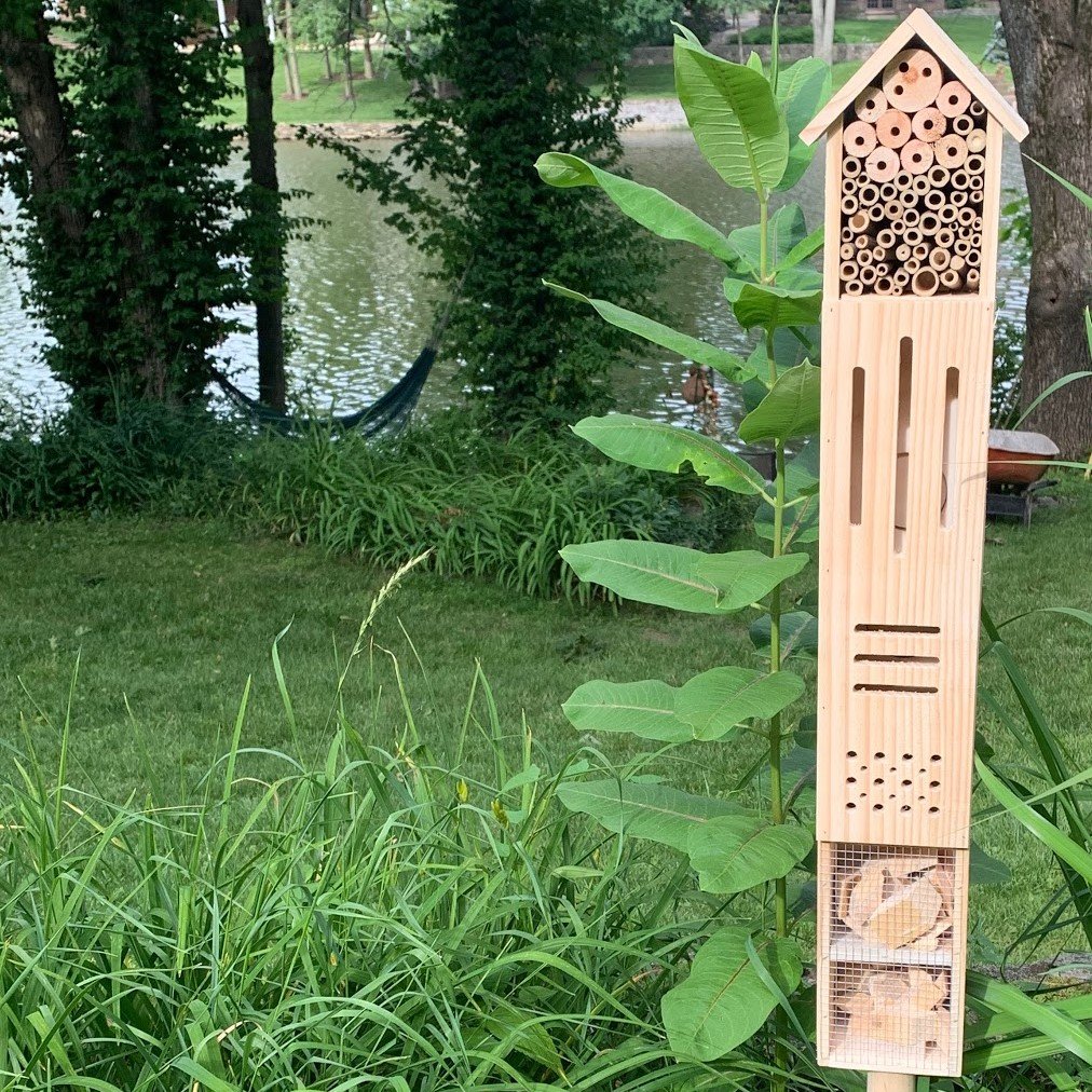 Does pollinator decline BUG you?! 
Don't let it get you down, host an insect hotel!