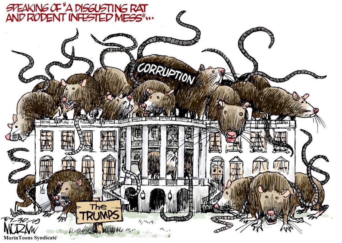 gr888shopper's tweet image. #DistractionGate