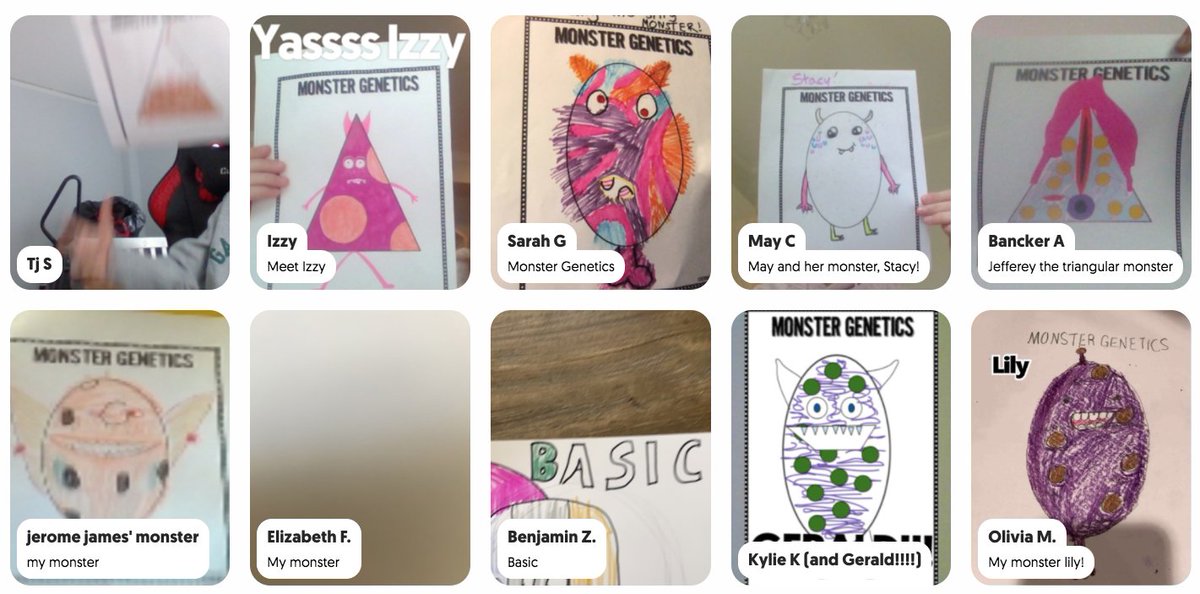 Tracey Ann Ferguson tweet media