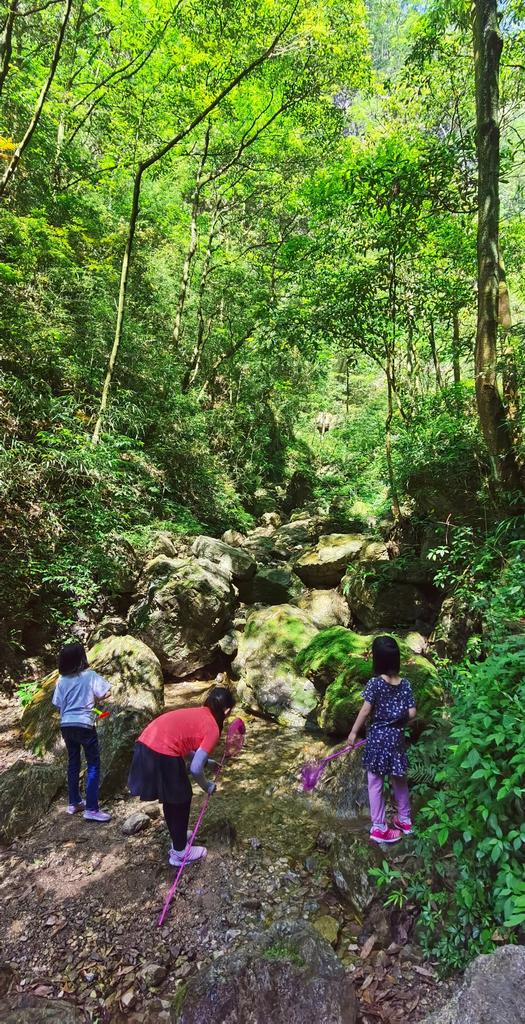 roamn8124's tweet photo. go hiking🗻 https://t.co/6DqIt8ysKm