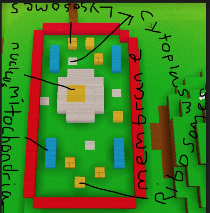 LS_Sci's tweet photo. Fourth-Grade students @GWAcademyChi #GEMSAtHome are studying cells. They became creative and made a few models of cells as simple sketches or by using different materials. @heatherprekop @msmartha021 https://t.co/evwvMghpZj