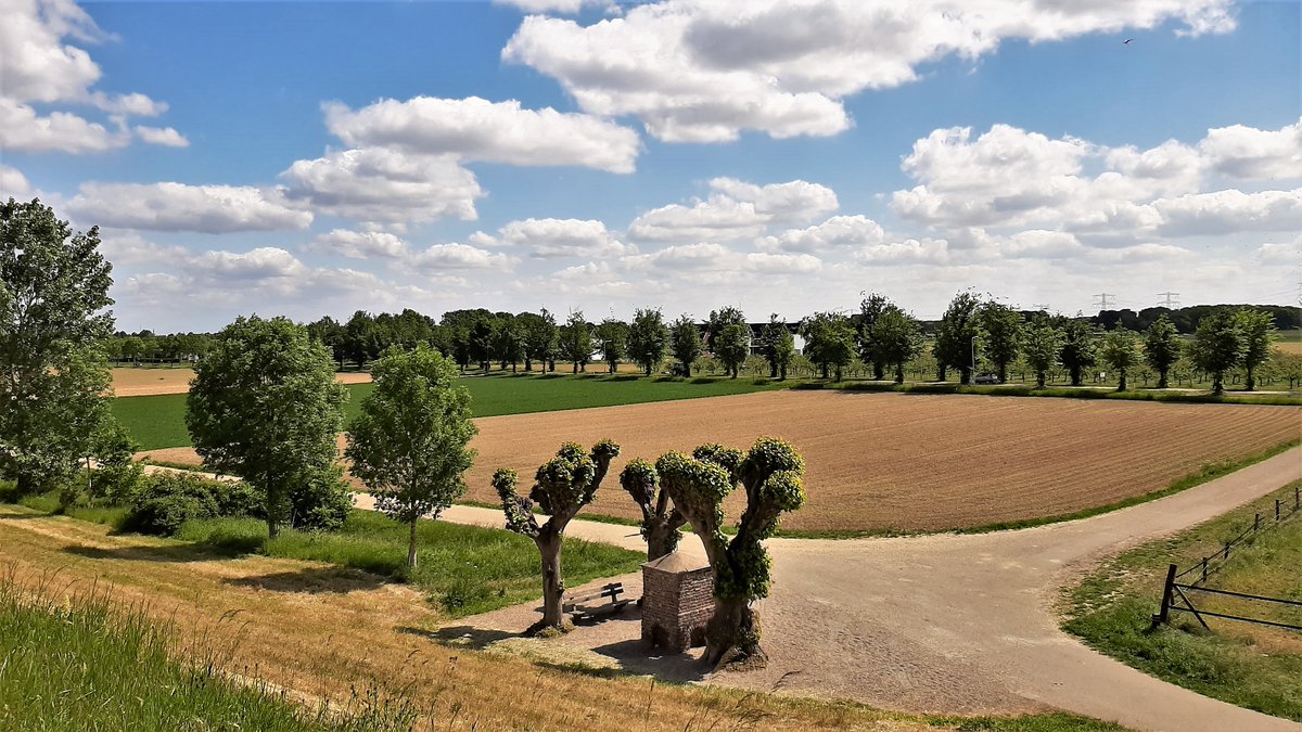 inja5248's tweet photo. #Julianakanaal #Maasbracht met vanaf de dijk uitzicht over de #Breul 🚴‍♂️🚴‍♀️ #MiddenLimburg 🍀 https://t.co/NZg9MnR9vM