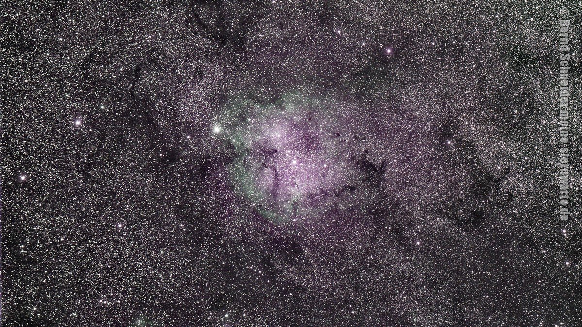 Bernd 📯 💉🚦 tweet media