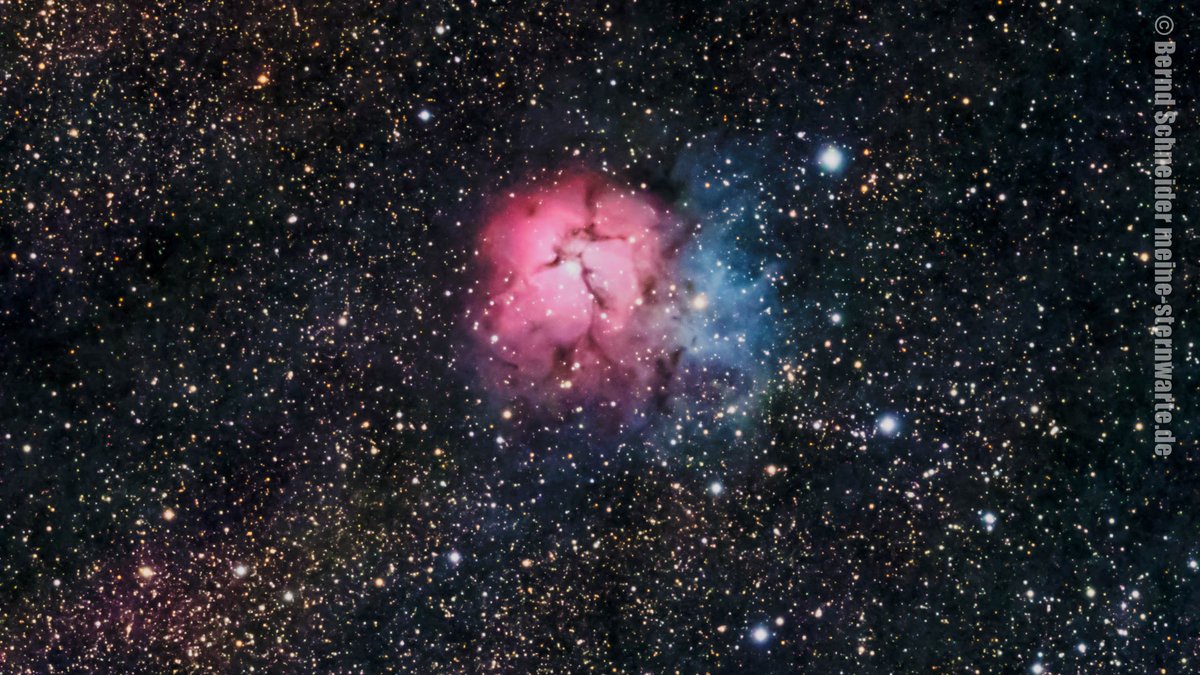 Bernd 📯 💉🚦 tweet media