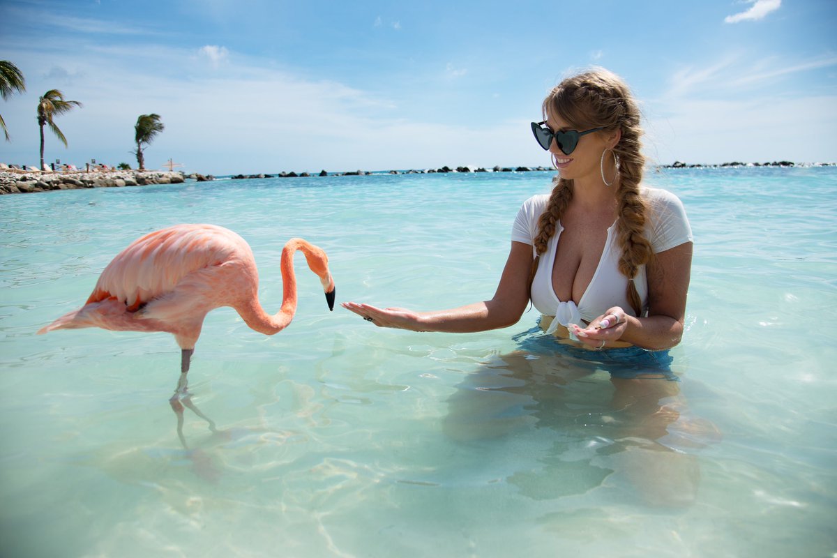 Throwback to Aruba! 🦩😎
So much fun getting to shoot with these beautiful flamingos!
💋: onlyfans.com/jennymarie
📸: Instagram.com/carlosdavid.ca
💄: @GlamByAliciaxo
☀️: Instagram.com/glambyaliciaxo…
#thursdayvibes #ThursdayMotivation