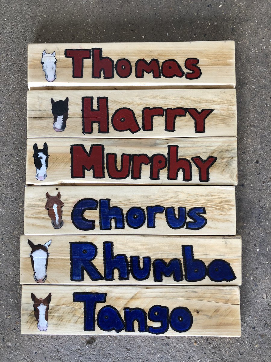 raecti's tweet photo. Handmade stable signs for our school horses ❤️ Thank you Lola - such a talented young lady (also amazing owner of Kenco (NHS hero))  #handmade #upcycling #artist #inspirational #inspiration #lockdownlife #kenco #humanshorseshappiness #loveourhorses #horse https://t.co/GLZMMqfiwD