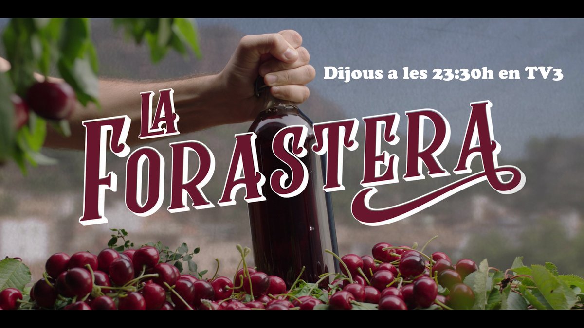La Forastera tweet media