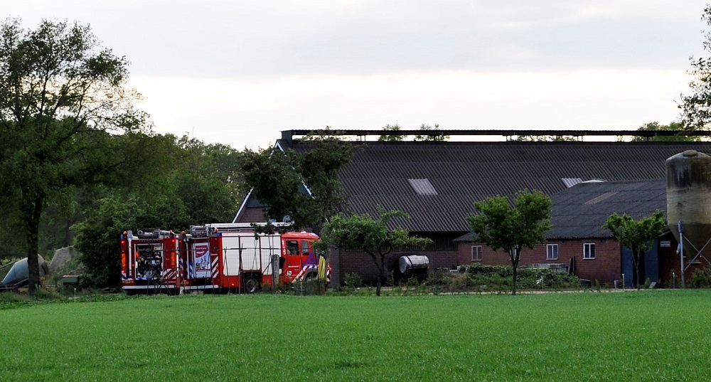 Koe in put, brandweer schiet te hulp. -..