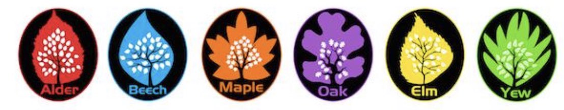 House competitions are back! From Monday, check the year group portal folders for competitions from each Head of House! The game isn’t over yet! <a href="/CockshutHillSch/">Cockshut Hill School</a> <a href="/AlderHouseCHS/">Alder House</a> <a href="/BeechHouseCHS/">BeechHouseCHS</a> <a href="/Elm_HouseCHS/">Elm House</a> <a href="/MapleHouseCHS/">Maple House</a> @OakHouseCHS <a href="/YewHouseCHS/">Yew House CHS</a>